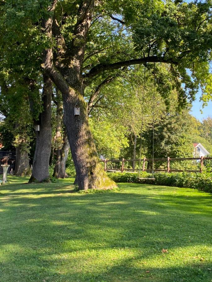 Herrenhaus - Starnberger See - Ammerland Münsing エクステリア 写真