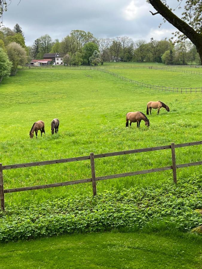 Herrenhaus - Starnberger See - Ammerland Münsing エクステリア 写真