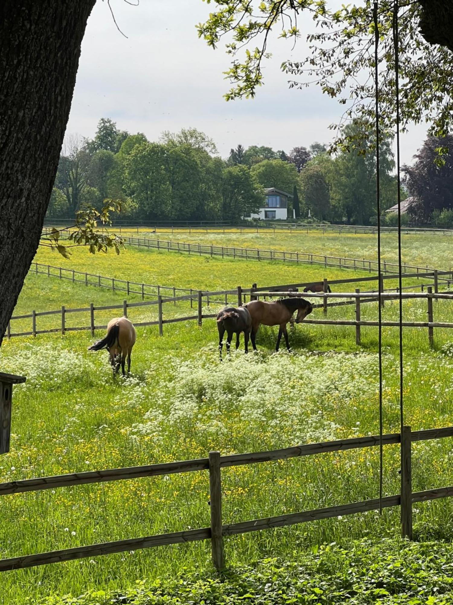 Herrenhaus - Starnberger See - Ammerland Münsing エクステリア 写真