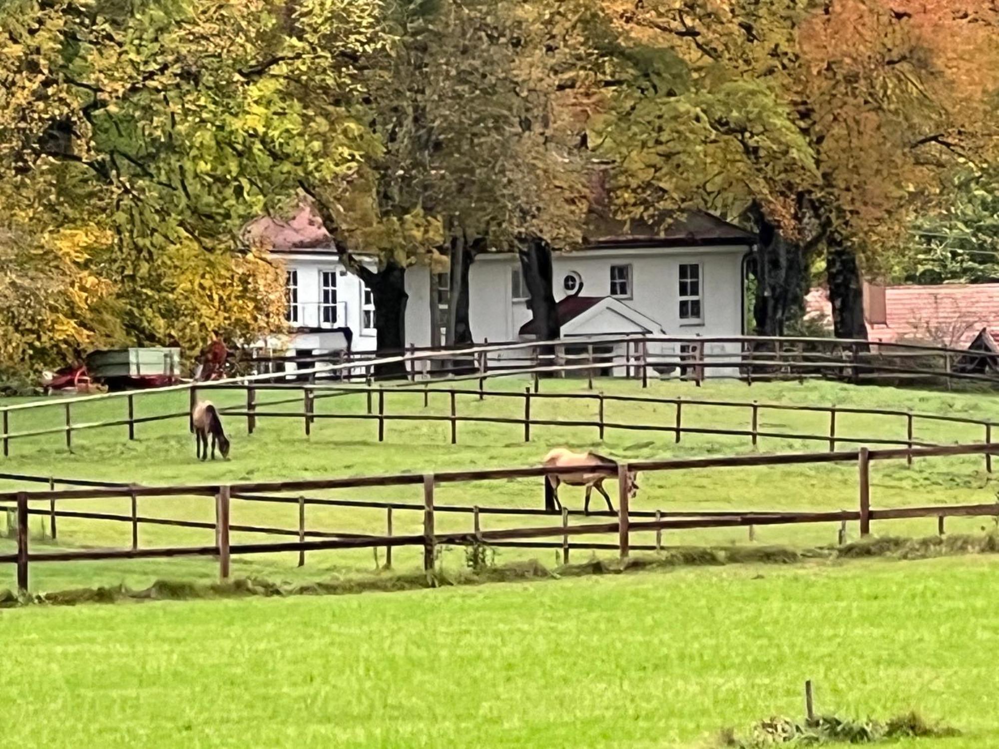 Herrenhaus - Starnberger See - Ammerland Münsing エクステリア 写真